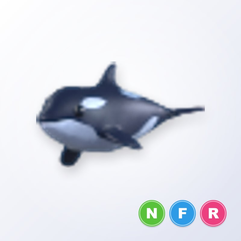 Orca NFR | Adopt Me
