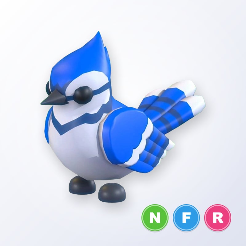 Blue Jay NFR | Adopt Me