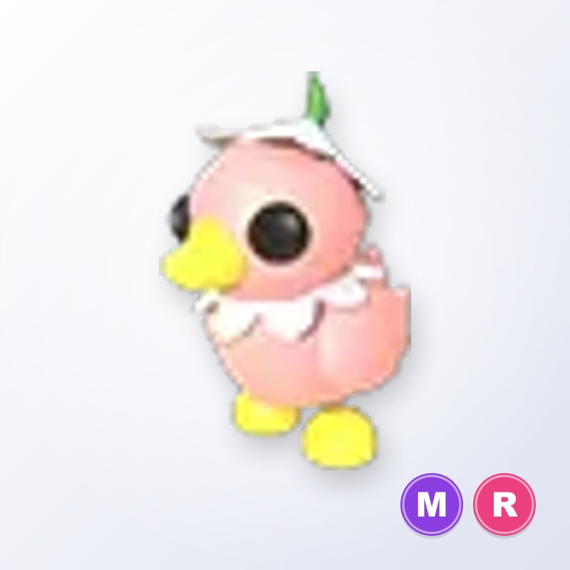 Flower Power Duckling MR | Adopt Me