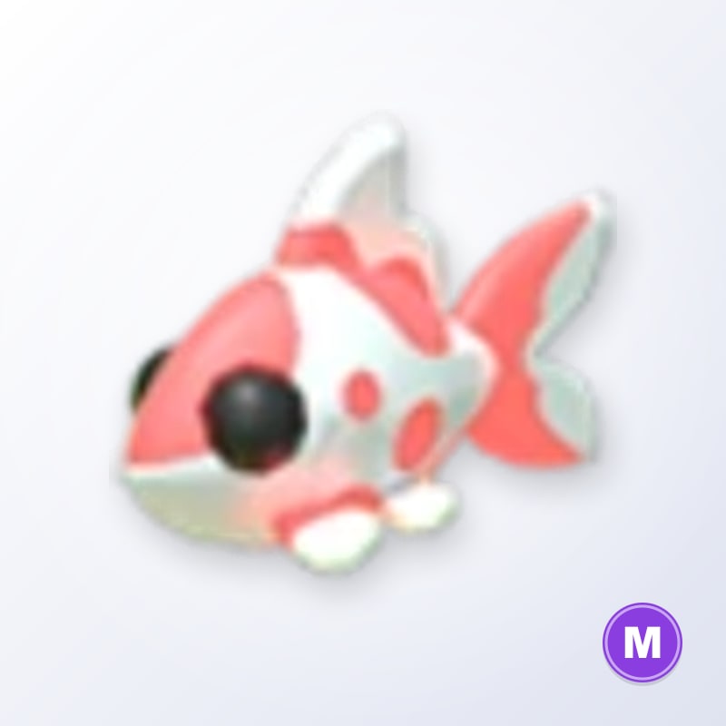 Koi Carp M | Adopt Me