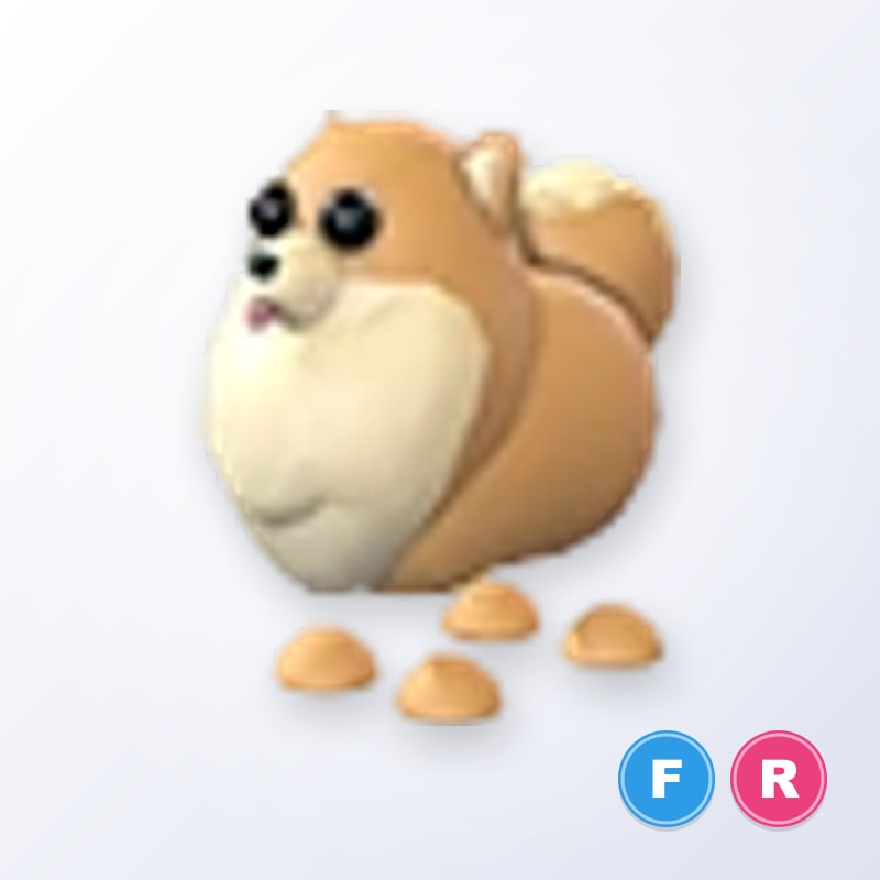 Pomeranian FR | Adopt Me