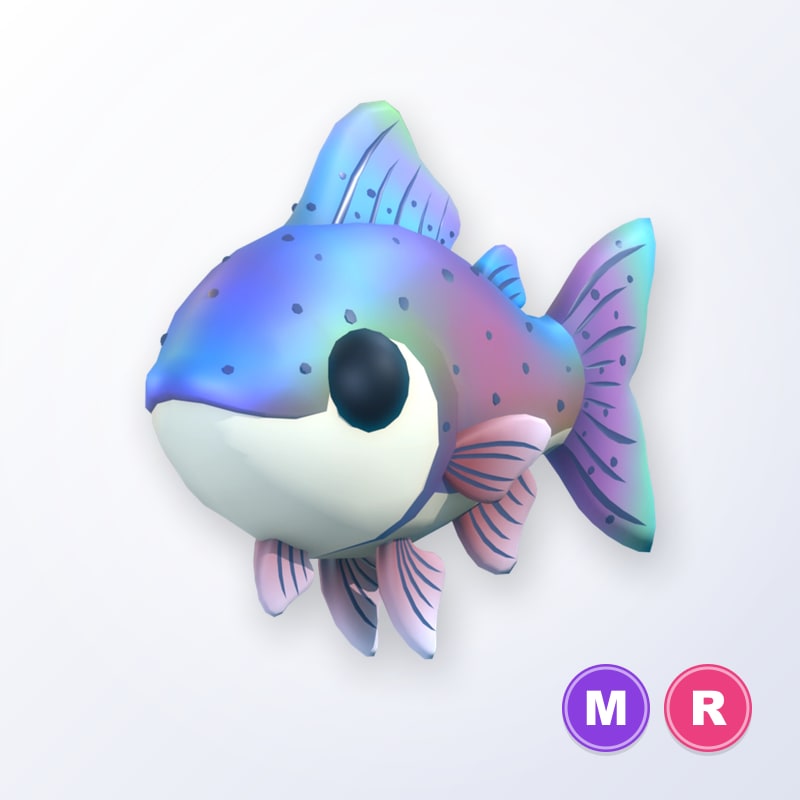 Rainbow Trout MR | Adopt Me