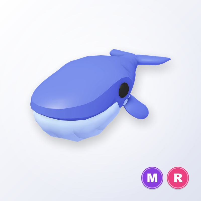 Blue Whale MR | Adopt Me