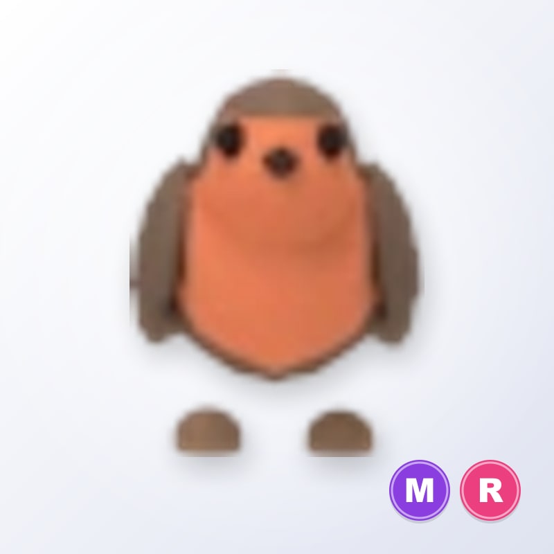 Robin MR | Adopt Me