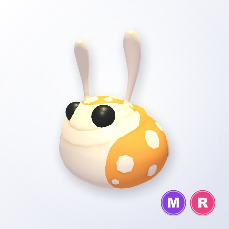 Hopbop MR | Adopt Me