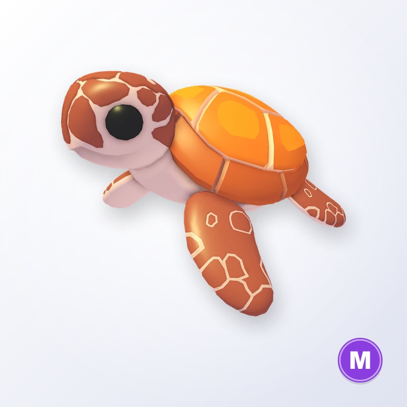 Sea Turtle M | Adopt Me