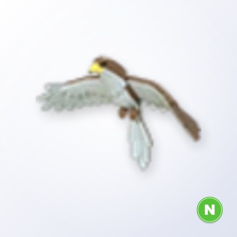 Hawk N | Adopt Me