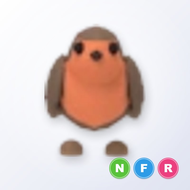 Robin NFR | Adopt Me