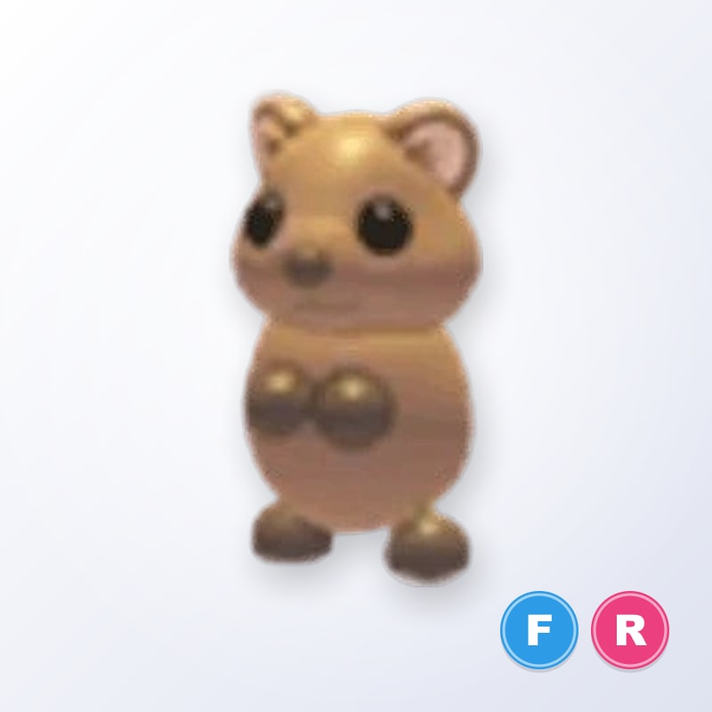Quokka FR | Adopt Me