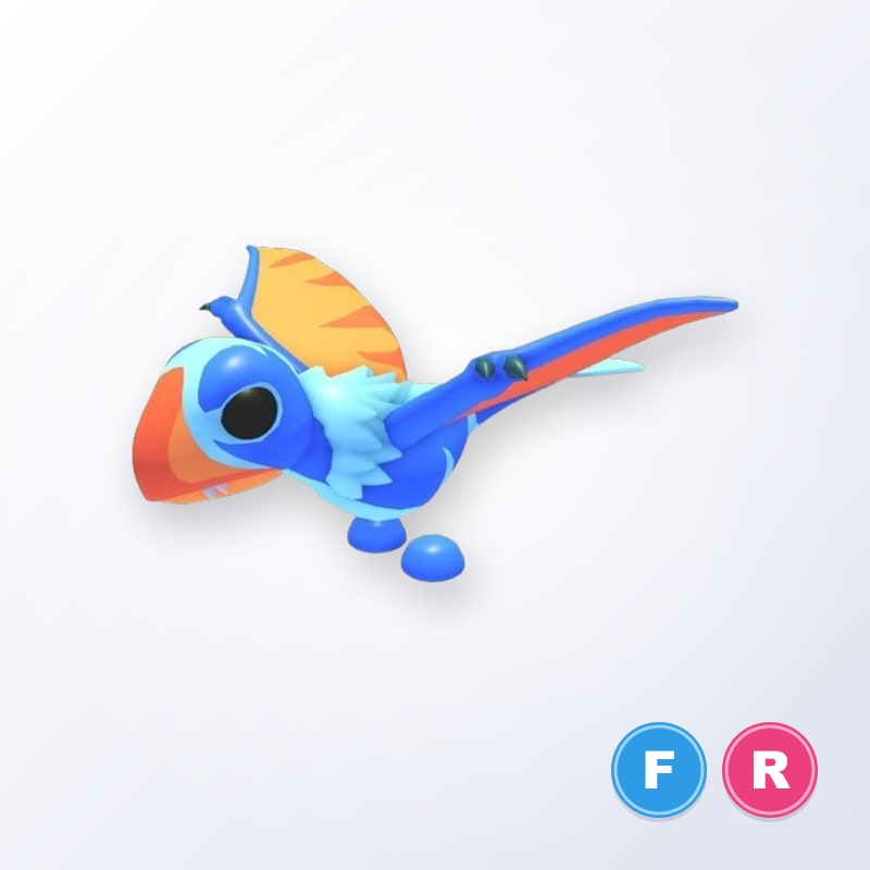 Dimorphodon FR | Adopt Me