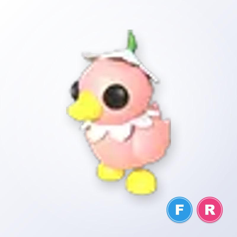 Flower Power Duckling FR | Adopt Me