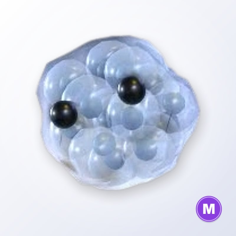 Frogspawn M | Adopt Me