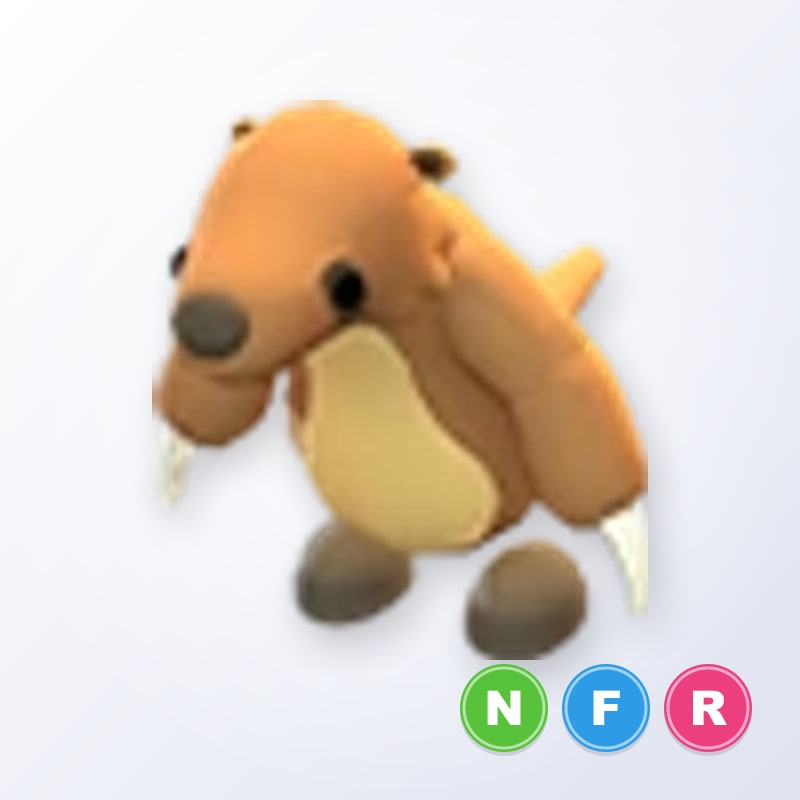 Ground Sloth NFR | Adopt Me
