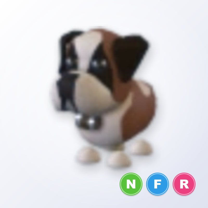 St Bernard NFR | Adopt Me