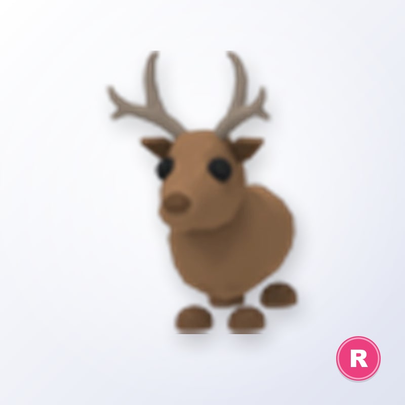 Reindeer R | Adopt Me
