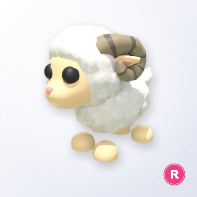 Ram R | Adopt Me