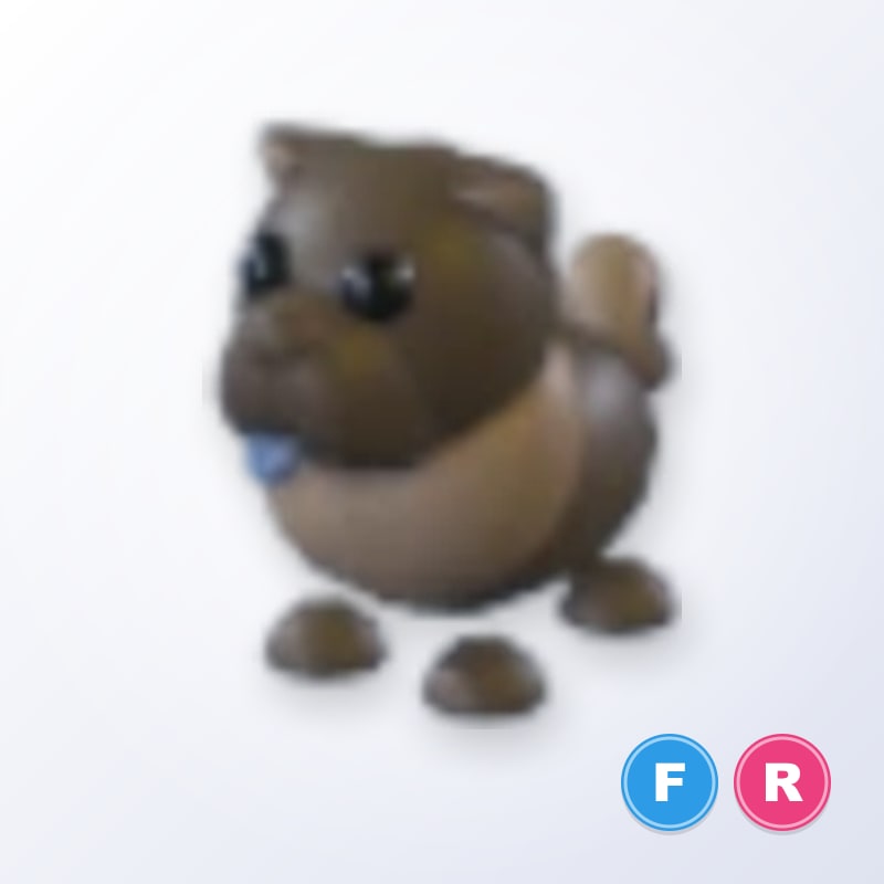 Chocolate Chow-Chow FR | Adopt Me