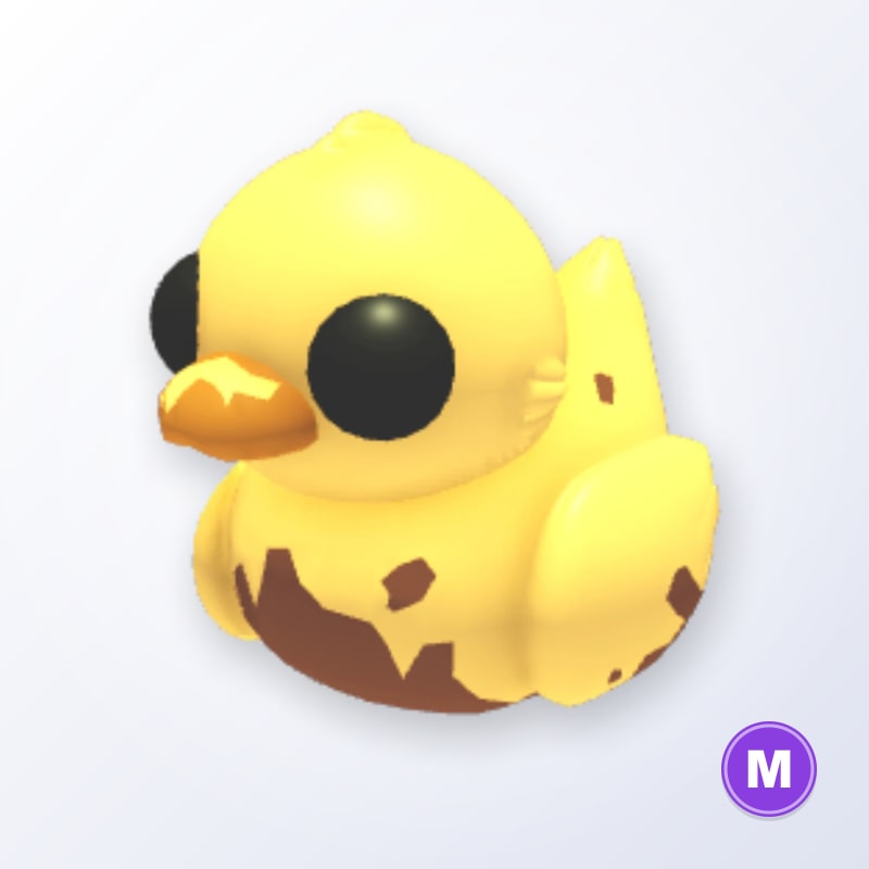 Dirty Ducky M | Adopt Me