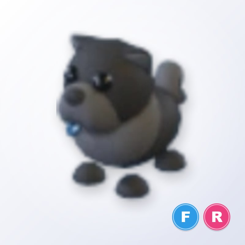Black Chow-Chow FR | Adopt Me
