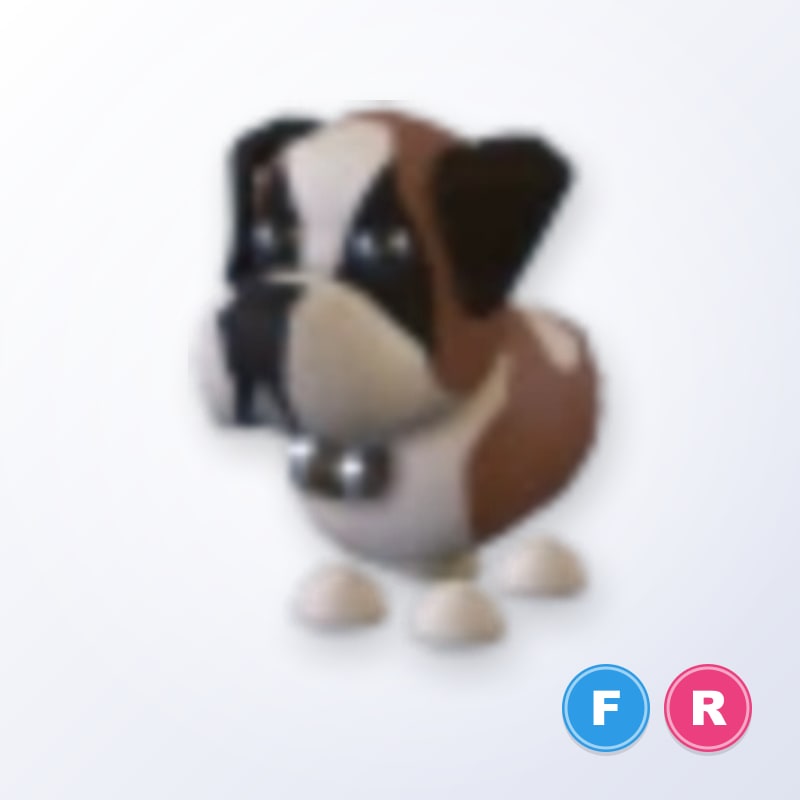 St Bernard FR | Adopt Me