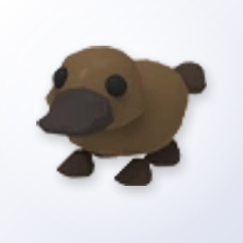 Platypus | Adopt Me