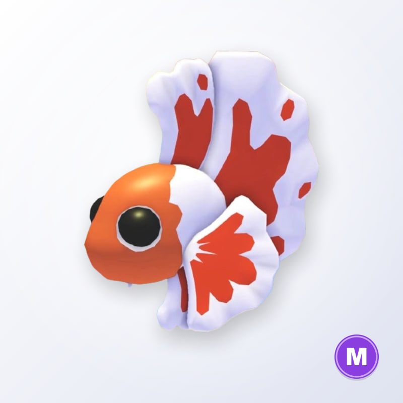 Orange Betta Fish M | Adopt Me