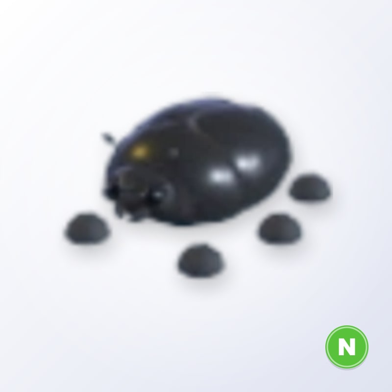 Giant Black Scarab N | Adopt Me