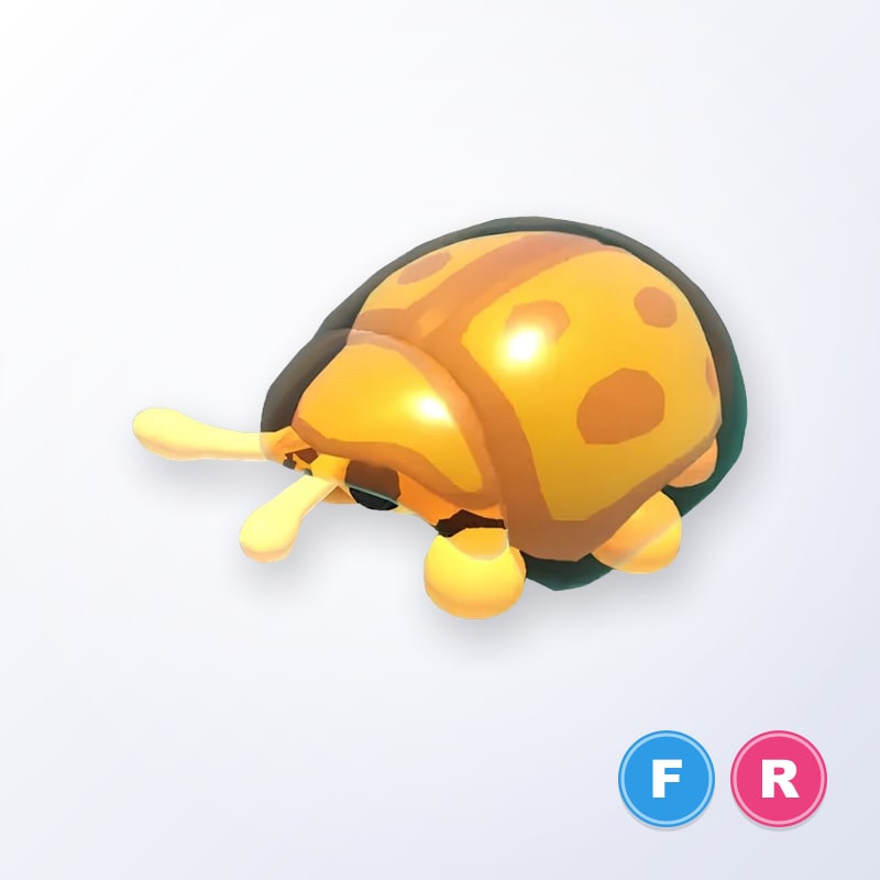 Golden Tortoise Beetle FR | Adopt Me