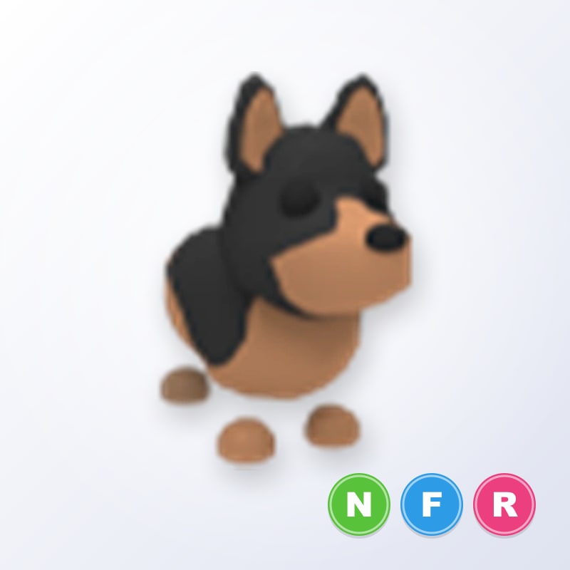 Australian Kelpie NFR | Adopt Me