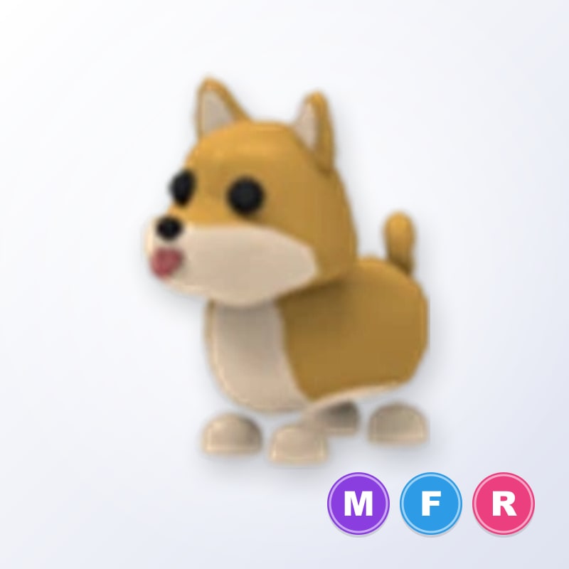 Shiba Inu MFR | Adopt Me