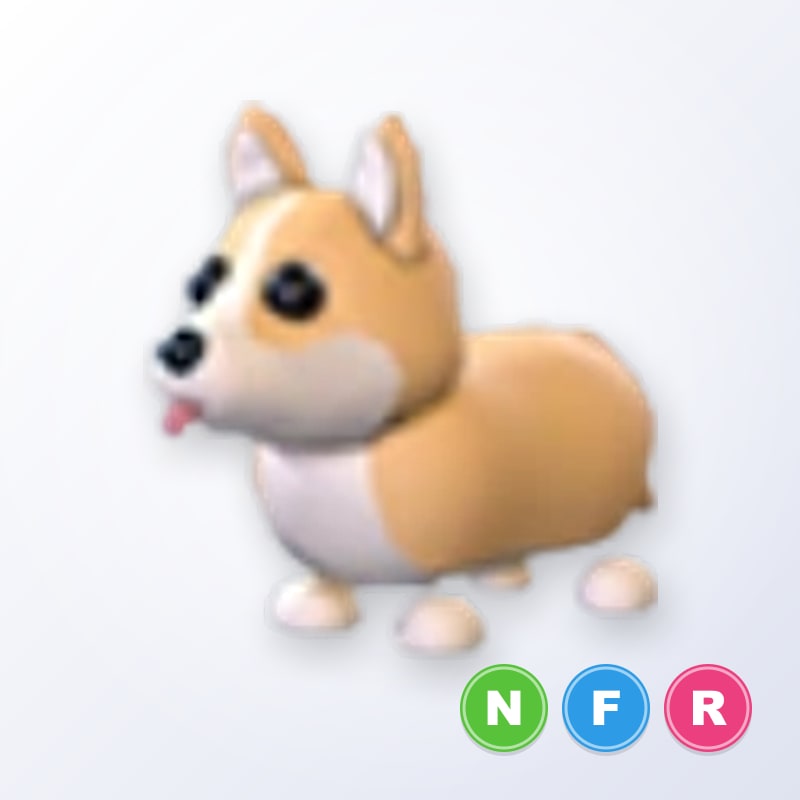 Corgi NFR | Adopt Me