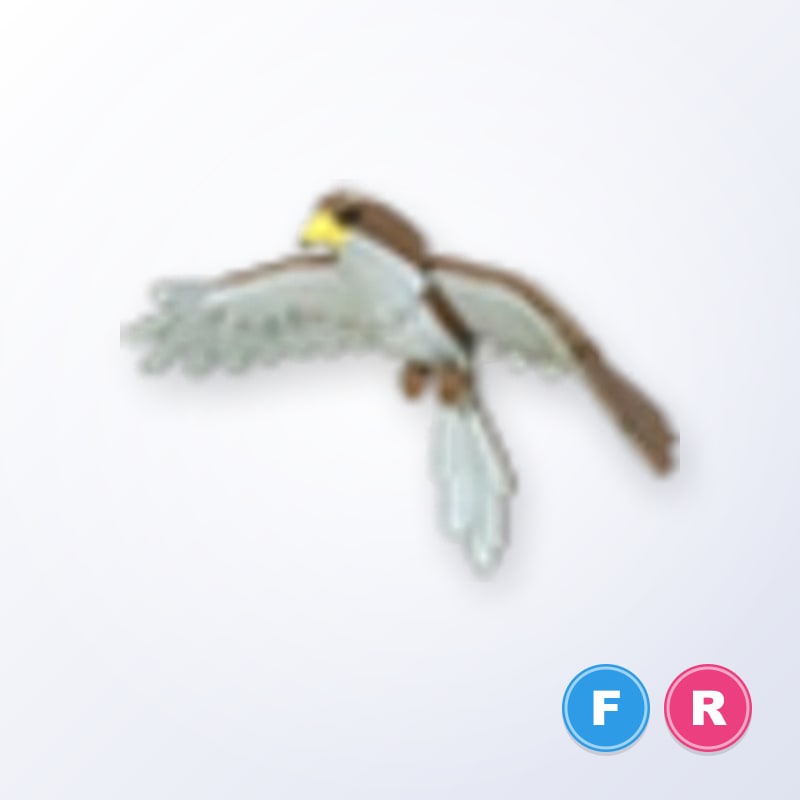 Hawk FR | Adopt Me