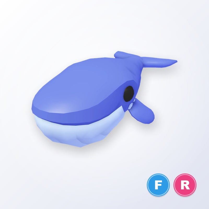 Blue Whale FR | Adopt Me
