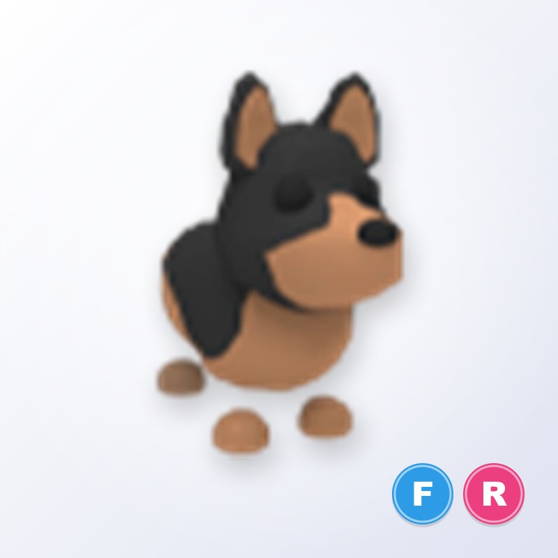 Australian Kelpie FR | Adopt Me