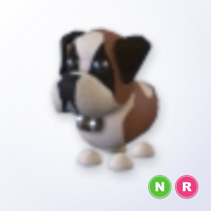 St Bernard NR | Adopt Me