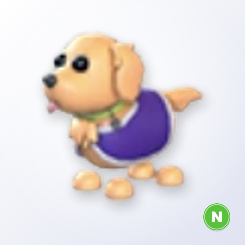 Therapy Dog N | Adopt Me