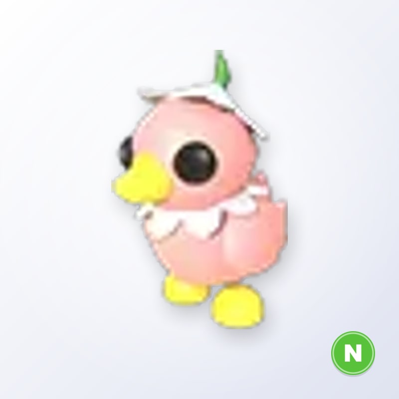 Flower Power Duckling N | Adopt Me