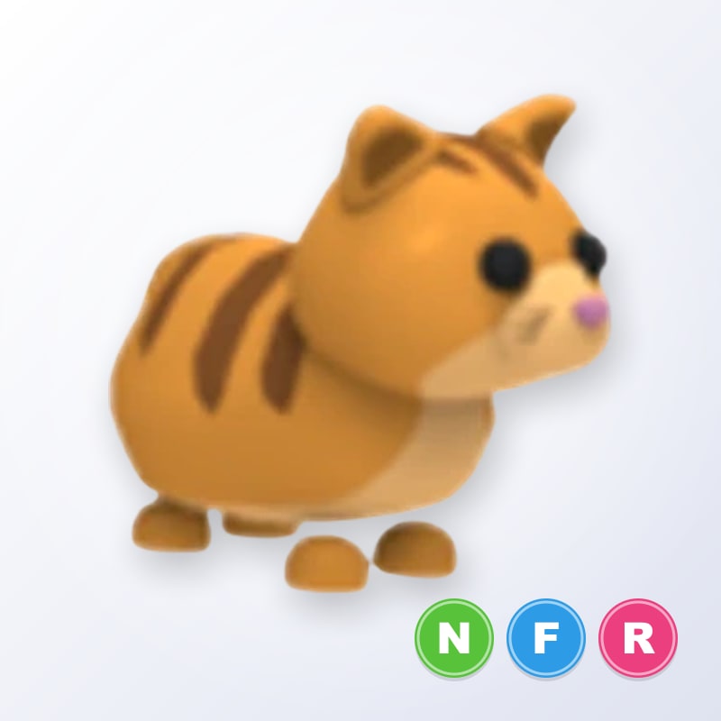 Ginger Cat NFR | Adopt Me