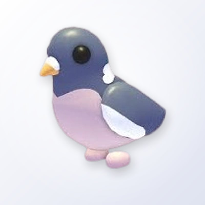 Wood Pigeon | Adopt Me