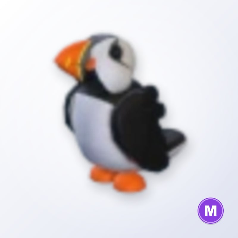 Puffin M | Adopt Me