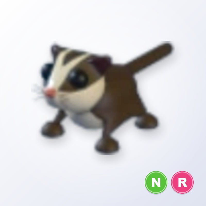 Sugar Glider NR | Adopt Me