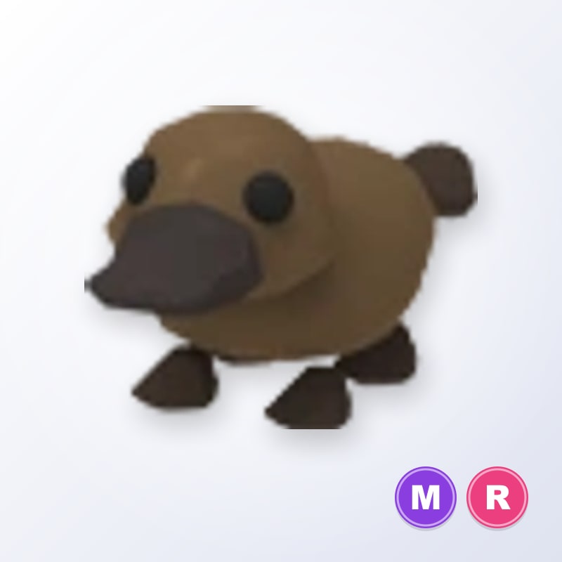 Platypus MR | Adopt Me