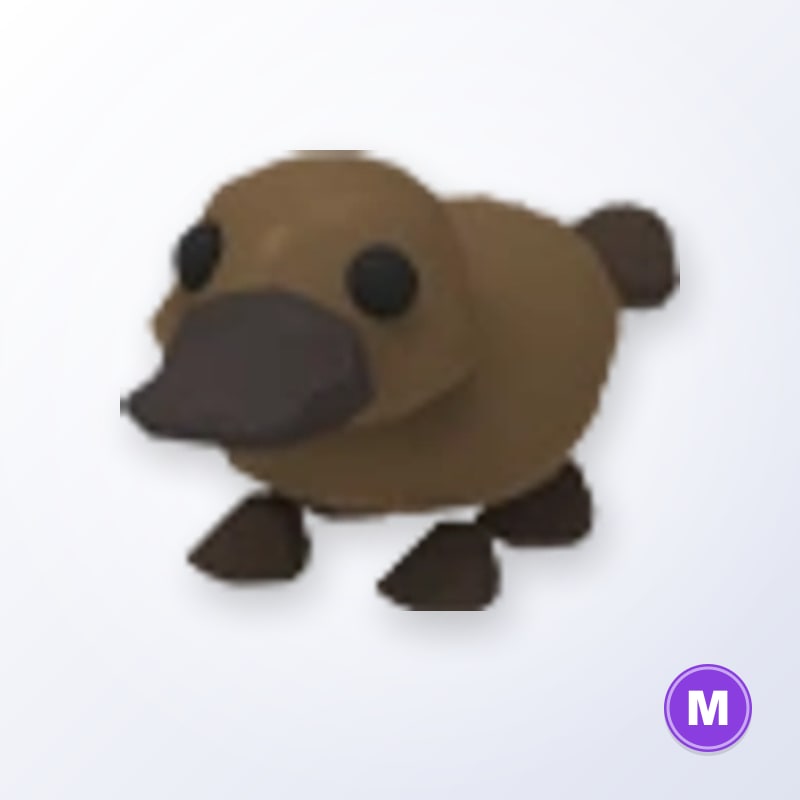 Platypus M | Adopt Me