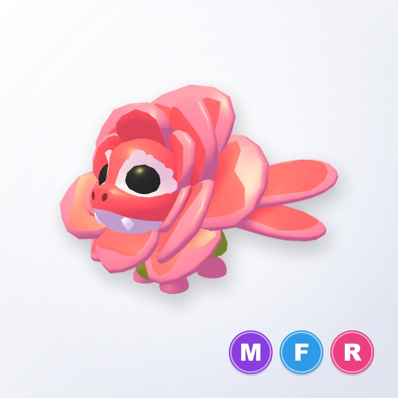 Rose Dragon MFR | Adopt Me