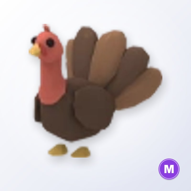 Turkey M | Adopt Me