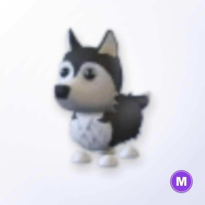Husky M | Adopt Me