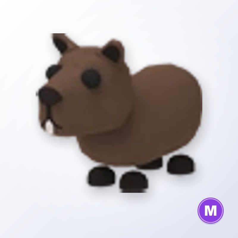 Capybara M | Adopt Me