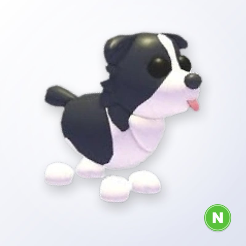 Border Collie N | Adopt Me