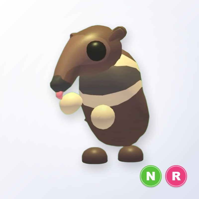 Giant Anteater NR | Adopt Me