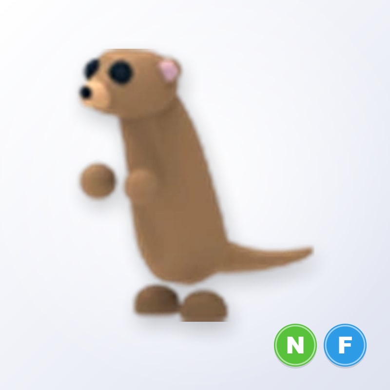 Meerkat NF | Adopt Me